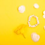 Reddybook Review: How the Innovative Platform Enhances Learning and Gaming with 11xplay Integration